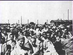 Hungarian Jews arrive at Auschwitz