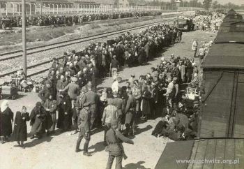 Selection at the Auschwitz-Birkenau railway ramp, 1944