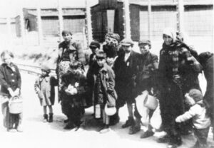 Auschwitz Album, Hungarian Jews with luggage