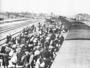 Auschwitz Album, Hungarian Jews on the Birkenau ramp