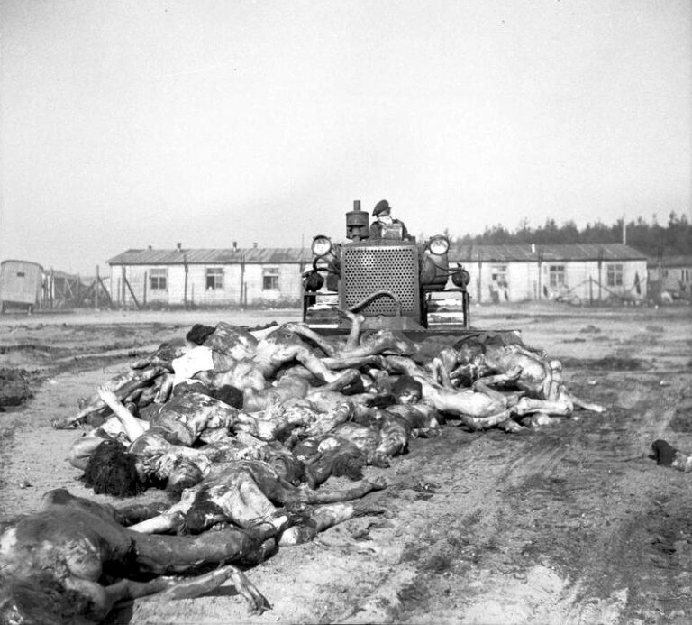Bergen-Belsen bulldozer