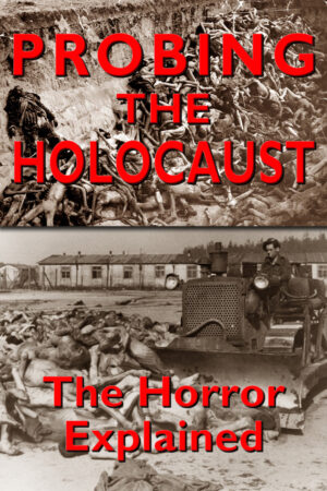 Probing the Holocaust