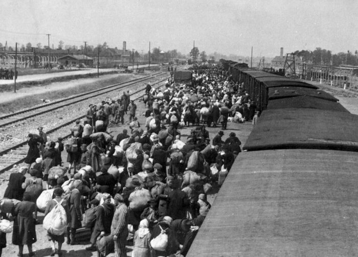 Jews from Hungary descending from a deportation train at Auschwitz Birkenau (Auschwitz Album).