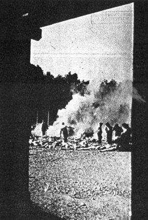 presumed ground-level photo allegedly showing open-air cremation of corpse at Auschwitz-Birkenau