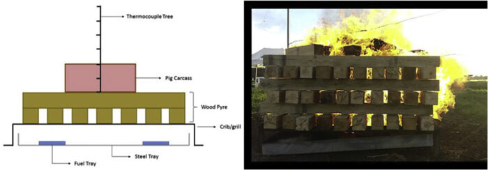 Fig. 1: Schematic representation of the experimental setup used in the experiments, and a photograph of one of the experiments.