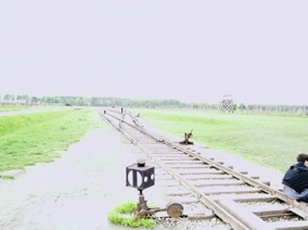 Train tracks heading to gas chambers