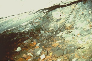 : Interior photograph taken from the ruins of Morgue 1 (alleged “gas chamber”) of Crematorium II