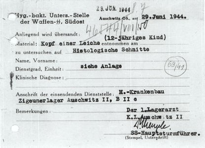 Mengele Document