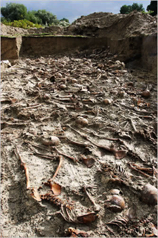 Skeletons in a mass grave.