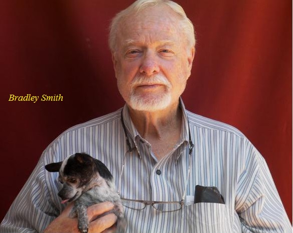 Bradley R. Smith, a simple writer
